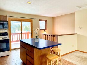 501 Teller St, Unit G in Frisco, CO - Building Photo - Building Photo