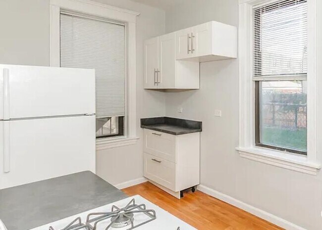 1007 N California Ave, Unit 3R in Chicago, IL - Building Photo - Building Photo
