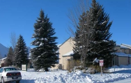 Woodhaven Apartments in Hailey, ID - Foto de edificio - Building Photo