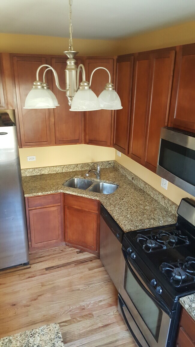 2243 W Rosemont Ave, Unit #2 in Chicago, IL - Building Photo - Building Photo