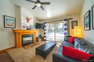 410 Bobcat Ln in Fairplay, CO - Building Photo - Building Photo