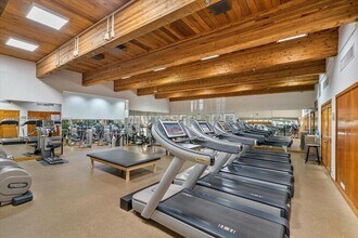 1000 Quayside Ter, Unit 511 in Miami Shores, FL - Building Photo - Building Photo