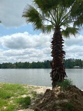 13545 Northshore Loop in Conroe, TX - Building Photo - Building Photo