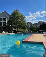 20447 Chesapeake Sq, Unit 20447 Chesapeake Sq #302 in Potomac Falls, VA - Building Photo - Building Photo