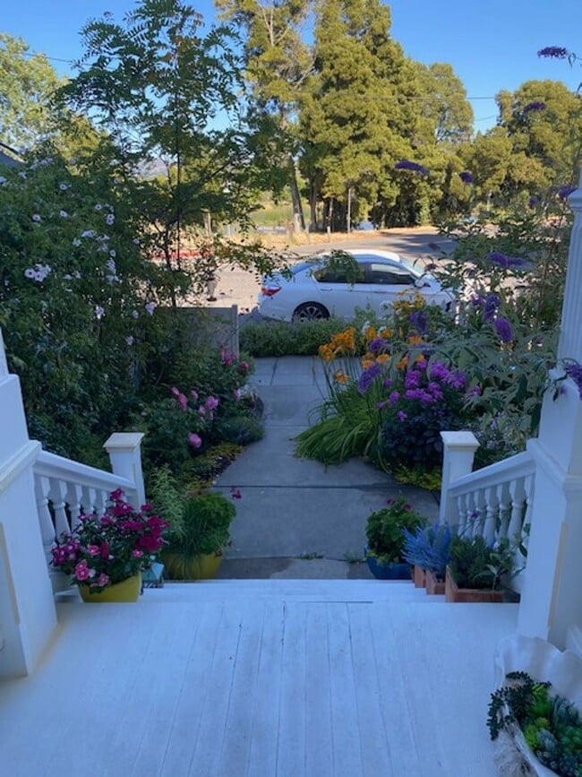 549 Brown St in Napa, CA - Building Photo - Building Photo