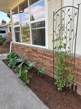 558 Dennis Ln N in Keizer, OR - Foto de edificio - Building Photo