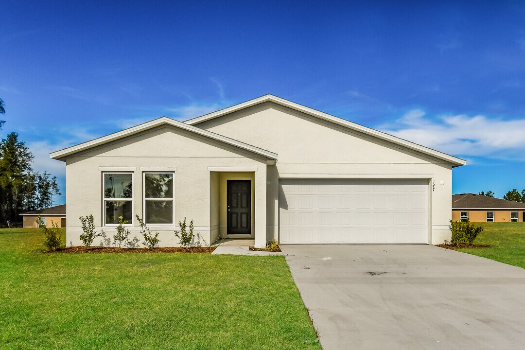 147 River Rdg Pl in Welaka, FL - Building Photo