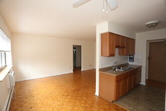 513 W Briar Pl in Chicago, IL - Building Photo - Building Photo
