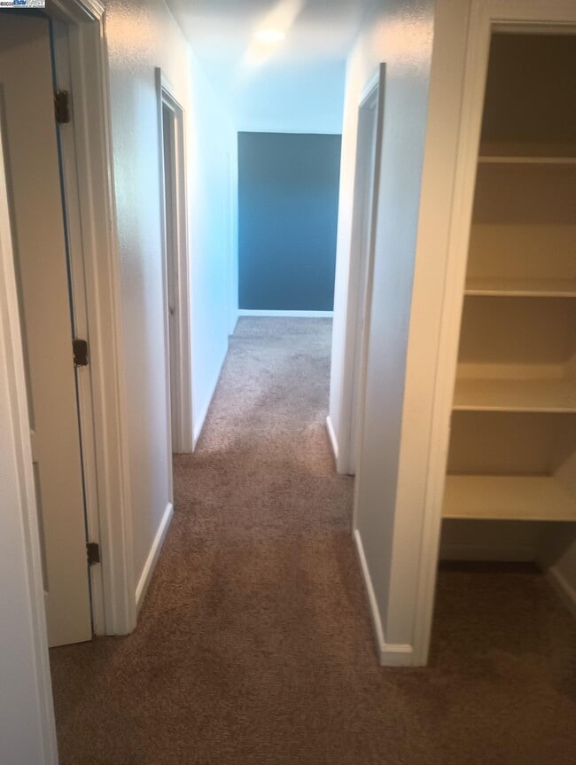 3127 Puffin Cir in Fairfield, CA - Building Photo - Building Photo