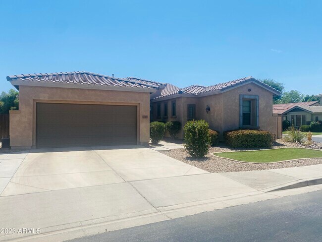 453 W Lantana Pl in Chandler, AZ - Building Photo - Building Photo