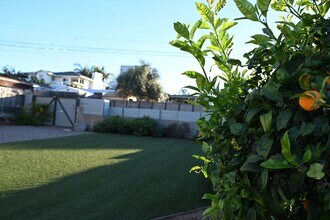 4493 Newport Ave in San Diego, CA - Building Photo - Building Photo