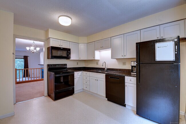 298 Conestoga Way in Glastonbury, CT - Building Photo - Building Photo