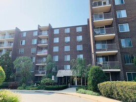 225 S Rohlwing Rd in Palatine, IL - Building Photo