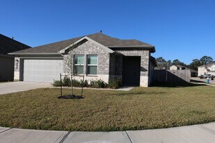 24808 Sugar Pine Cone St in Magnolia, TX - Building Photo