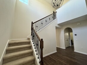 29242 Perilli Pl in Zephyrhills, FL - Building Photo - Building Photo