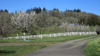 1338 Green Valley Rd in Oakland, OR - Building Photo - Building Photo