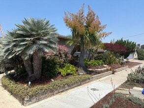 4354 Mount Castle Ave in San Diego, CA - Foto de edificio - Building Photo