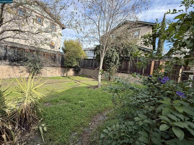 2875 Euclid Ave in Concord, CA - Foto de edificio - Building Photo