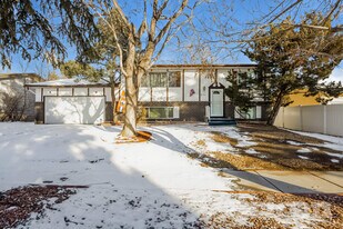 1317 Doyle Pl in Colorado Springs, CO - Building Photo