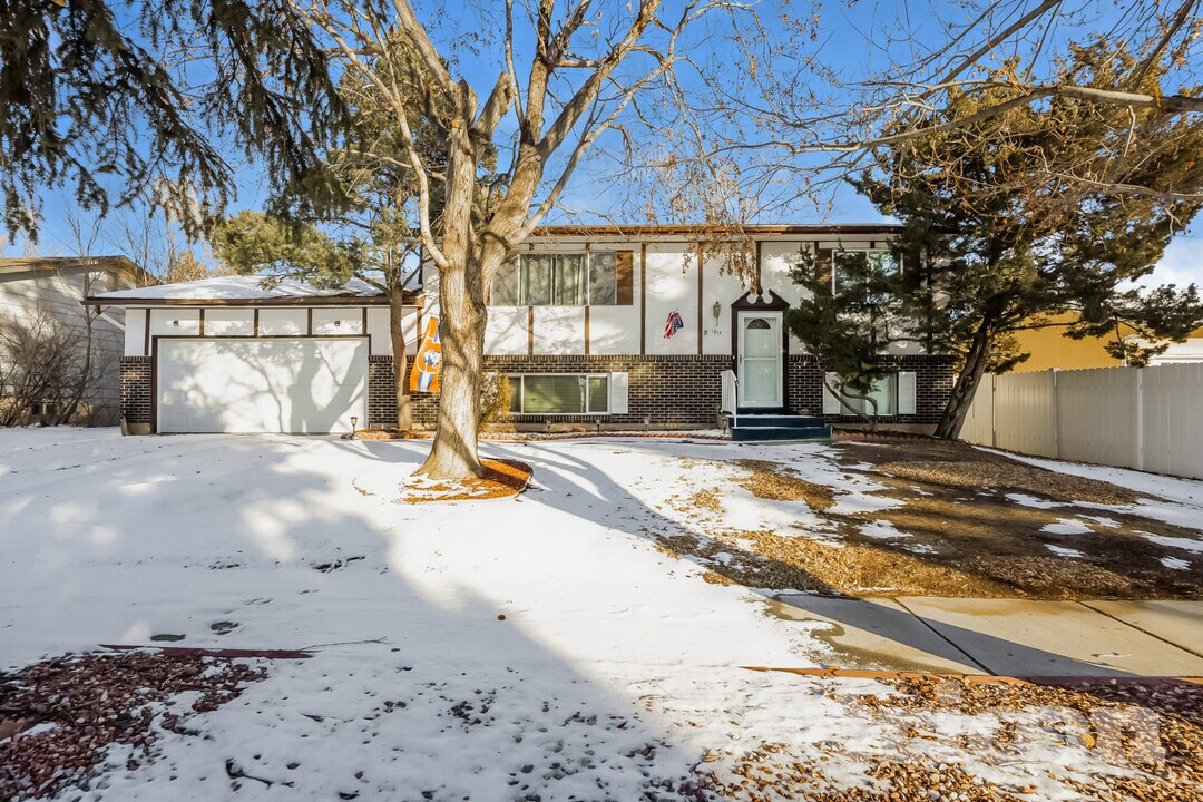 1317 Doyle Pl in Colorado Springs, CO - Building Photo