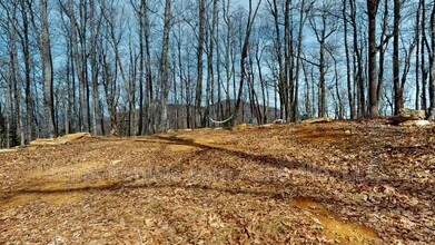 21 Rolling Ridge Trail in Black Mountain, NC - Building Photo - Building Photo