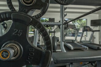 Elevate Apartments in Georgetown, TX - Building Photo - Building Photo