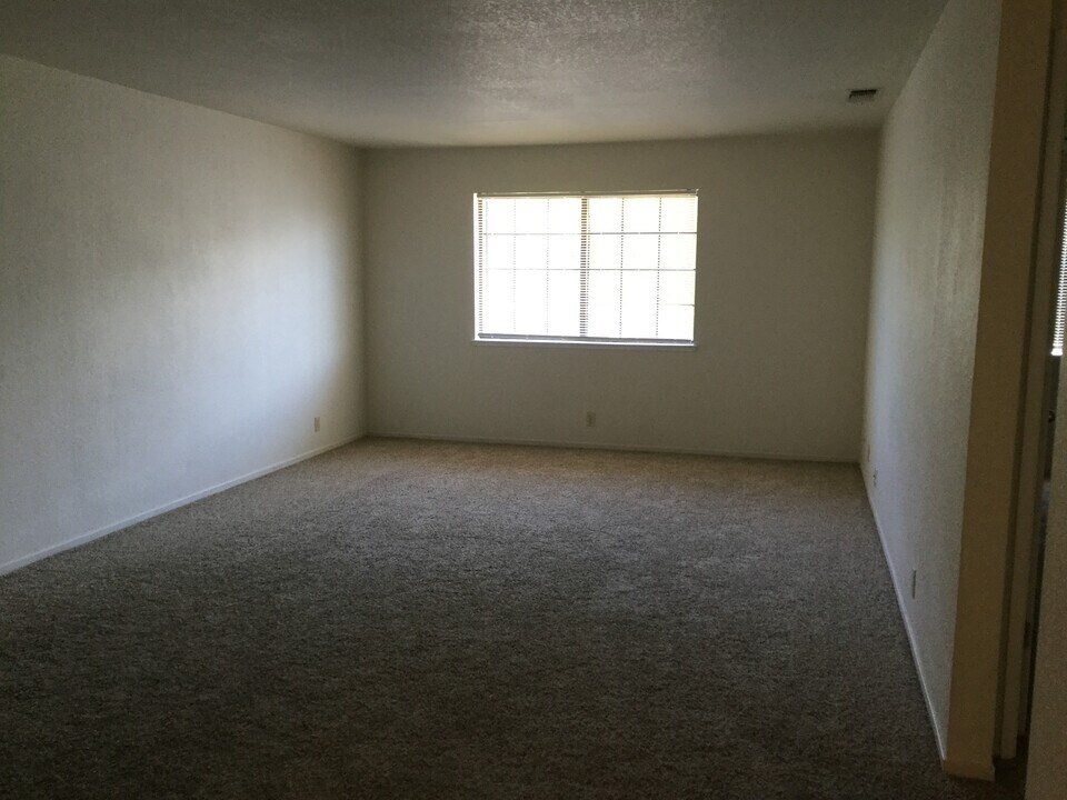 359 Wolfe Ave in Turlock, CA - Building Photo