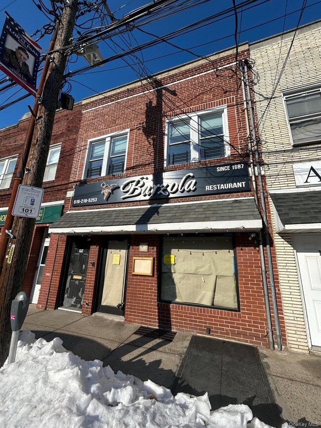 113-119-119 Jericho Tpke in Floral Park, NY - Building Photo - Building Photo