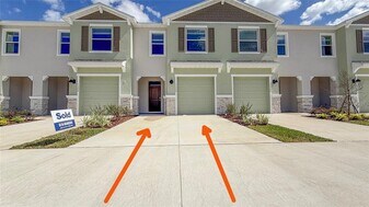 11372 Velvet Apricot Dr in Land O Lakes, FL - Building Photo