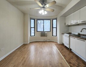 1430 N Dearborn Pkwy, Unit 1430-501 in Chicago, IL - Building Photo - Building Photo