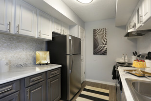 Buena Vista Apartments – Studio, 1 & 2 Bed... in Tampa, FL - Building Photo