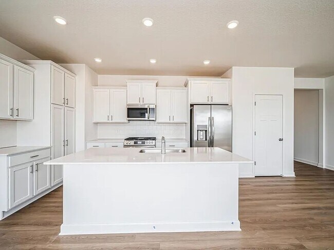 14369 Allerton Wy in Rosemount, MN - Building Photo - Building Photo