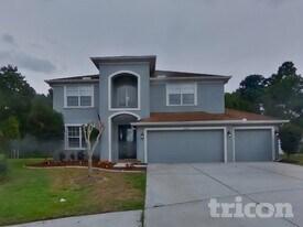 10636 Deerberry Dr in Land O Lakes, FL - Building Photo