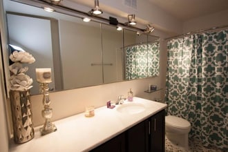 850 N Dewitt Pl in Chicago, IL - Building Photo - Building Photo