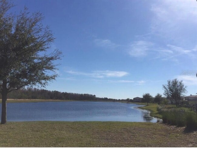 8549 Laureate Blvd in Orlando, FL - Building Photo - Building Photo