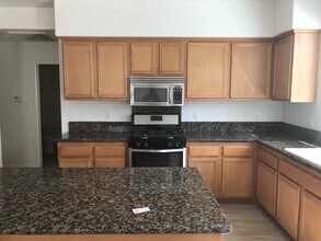 23608 Coast Live Oak Ln in Murrieta, CA - Building Photo - Building Photo