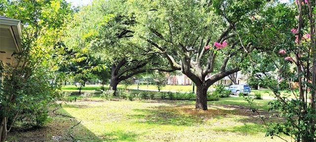 204 Overhill Dr in Waxahachie, TX - Building Photo - Building Photo