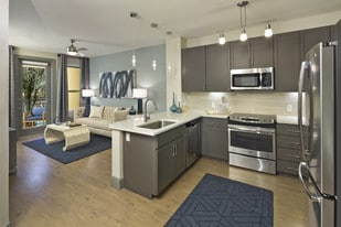 District at Biltmore Apartments