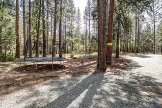 30408 Whitmore Rd in Whitmore, CA - Building Photo - Building Photo