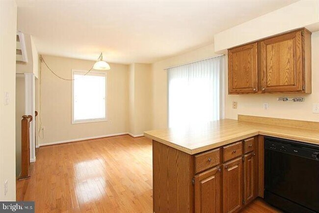 11956 Sentinel Point Ct in Reston, VA - Building Photo - Building Photo