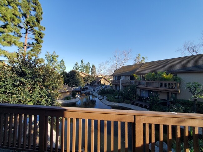 property at 203 Tangelo