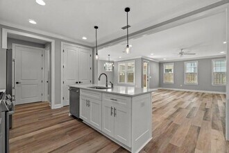 76 Conifer Ct in Inlet Beach, FL - Building Photo - Building Photo