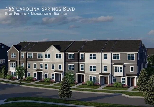 property at 466 Carolina Spgs Blvd