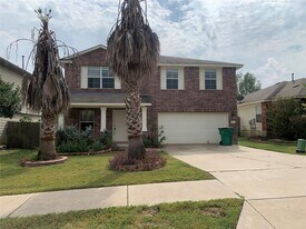 18317 Great Falls Dr in Manor, TX - Building Photo