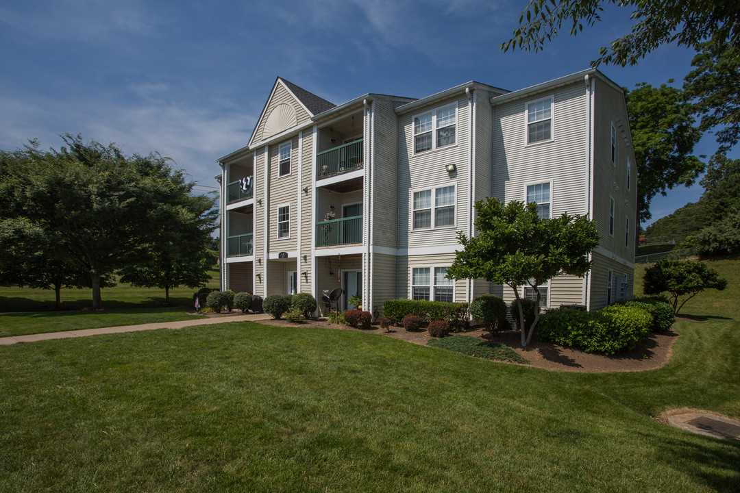 Shenandoah Commons in Front Royal, VA - Foto de edificio