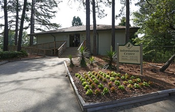 Cedar Greene Apartments in Charlotte, NC - Building Photo - Building Photo