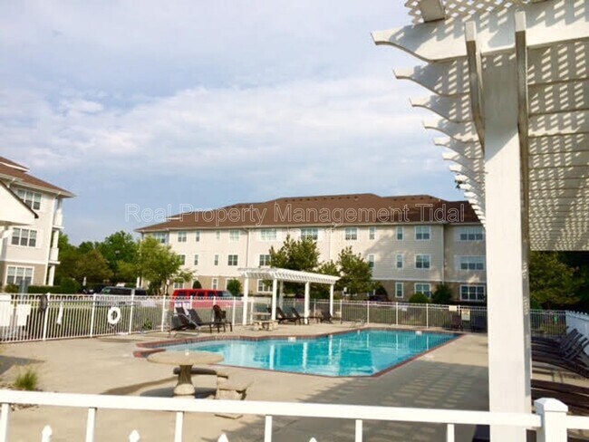 920 Southmoor Dr in Virginia Beach, VA - Building Photo - Building Photo