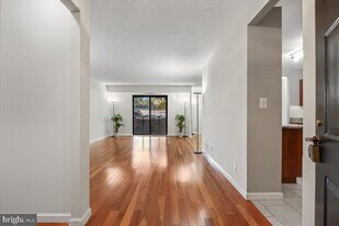 5904 Mt Eagle Dr in Alexandria, VA - Building Photo