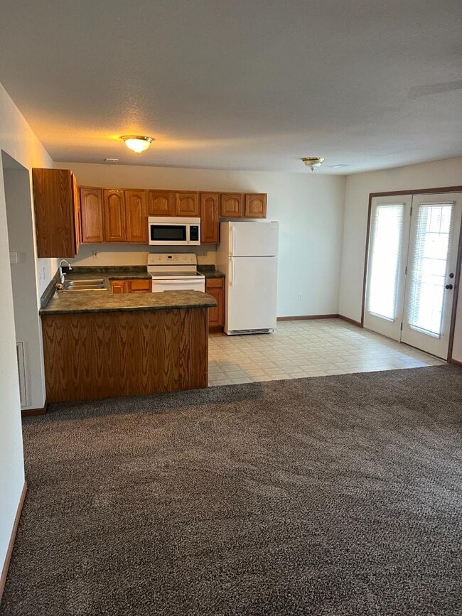 100 Aldergate St in Bonne Terre, MO - Building Photo - Building Photo