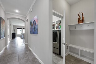 31507 Reston Cliff Ct in Spring, TX - Building Photo